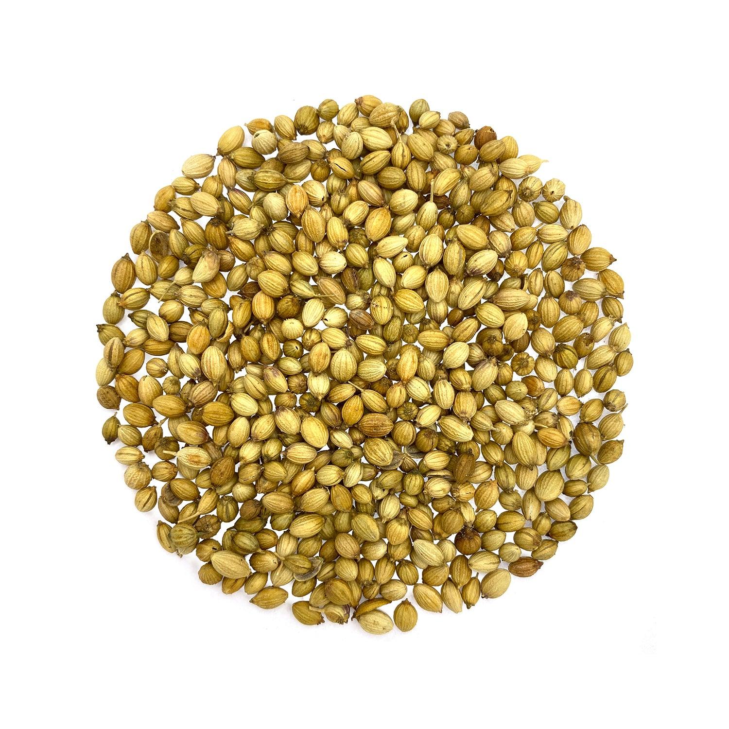 coriander seed