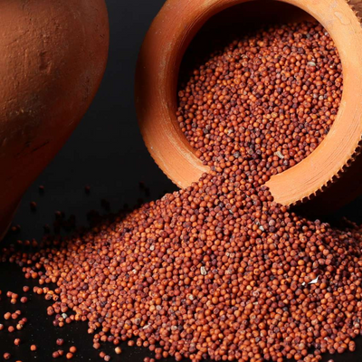 Iyappa Finger Millet(Ragi seed)